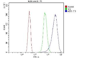 Flow Cytometry analysis of SiHa cells using anti- ASS1 antibody (ABIN7601192).