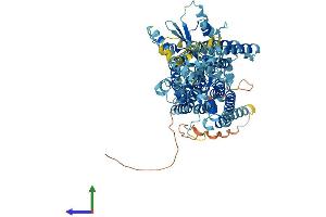 AlphaFold protein structure predicition of Human Recombinant ANO9 Protein, UniprotID A1A5B4