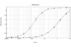 ELISA Results of Rabbit Anti-Sheep IgG Antibody (Min X Human Serum Proteins) tested against purified Sheep IgG MX Hu.