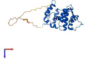 AlphaFold protein structure predicition of Human Recombinant DCUN1D5 Protein, UniprotID Q9BTE7