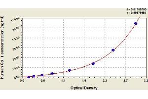 Typical Standard Curve (Collagen Type I ELISA Kit)