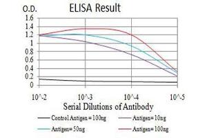 Black line: Control Antigen (100 ng),Purple line: Antigen (10 ng), Blue line: Antigen (50 ng), Red line:Antigen (100 ng) (BRD2 antibody  (AA 227-364))