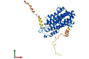 AlphaFold protein structure predicition of Mouse Recombinant Rrm2b Protein, UniprotID Q6PEE3