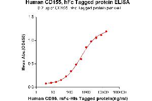 Poliovirus Receptor (PVR) (AA 21-343) protein (Fc Tag)