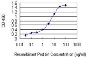 Detection limit for recombinant GST tagged GLIPR1 is 0. (GLIPR1 antibody  (AA 23-99))