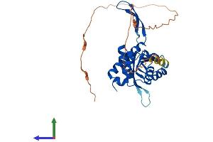 AlphaFold protein structure predicition of Human Recombinant UPRT Protein, UniprotID Q96BW1 (UPRT Protein (AA 1-309) (His tag))