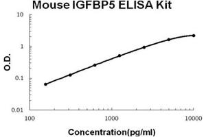 Mouse IGFBP5 PicoKine ELISA Kit standard curve (IGFBP5 ELISA Kit)