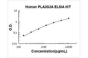 Typical Standard Curve
