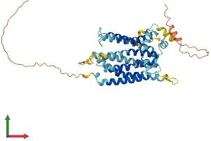 Protein Structure (PS) image for Transmembrane Protein 184B (TMEM184B) (AA 1-407) protein (His tag) (ABIN7558515)