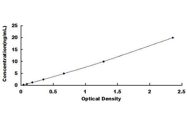 Perforin 1 ELISA Kit