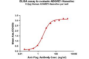 Elisa plates were pre-coated with Flag Tag AD-Nanodisc (0. (F4/80 Protein)