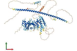 Protein Structure (PS) image for ATR Interacting Protein (ATRIP) (AA 1-785) protein (His tag) (ABIN7558766)