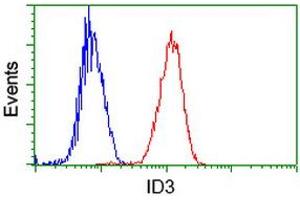Image no. 14 for anti-Inhibitor of DNA Binding 3, Dominant Negative Helix-Loop-Helix Protein (ID3) antibody (ABIN1498779)