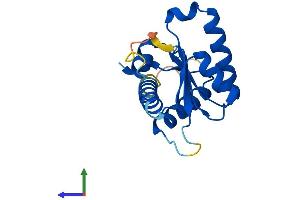 AlphaFold protein structure predicition of Mouse Recombinant Gadd45g Protein, UniprotID Q9Z111