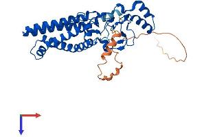 AlphaFold protein structure predicition of Human Recombinant ZDHHC20 Protein, UniprotID Q5W0Z9