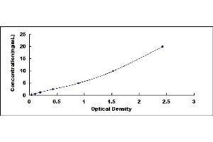 Typical standard curve