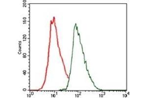 Flow Cytometry (FACS) image for anti-CCAAT/enhancer Binding Protein (C/EBP), alpha (CEBPA) antibody (ABIN1106664) (CEBPA antibody)