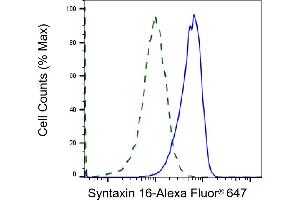 Validation of Syntaxin 16 knockdown using flow cytometry. (Recombinant Syntaxin 16 antibody)