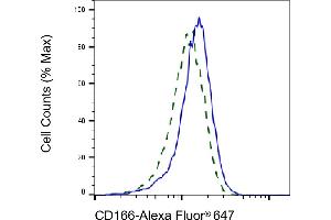 Validation of CD166 knockdown using flow cytometry.
