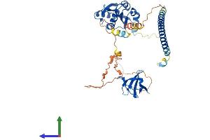 AlphaFold protein structure predicition of Mouse Recombinant Dbnl Protein, UniprotID Q62418 (DBNL Protein (AA 1-436) (His tag))