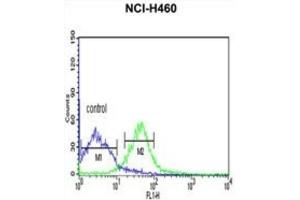 Flow Cytometry (FACS) image for anti-Protein Kinase A, alpha (PRKACA) antibody (ABIN3002818) (PRKACA antibody)