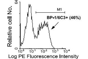 Flow Cytometry (FACS) image for anti-Glutamyl Aminopeptidase (Aminopeptidase A) (ENPEP) antibody (PE) (ABIN371045) (ENPEP antibody  (PE))