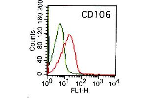 Image no. 1 for anti-Vascular Cell Adhesion Molecule 1 (VCAM1) antibody (ABIN5027665) (VCAM1 antibody)