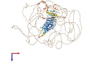AlphaFold protein structure predicition of Human Recombinant LRRC53 Protein, UniprotID A6NM62 (LRRC53 Protein (AA 1-1247) (His tag))