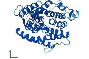 Protein Structure (PS) image for ADP-Ribosylhydrolase Like 1 (ADPRHL1) (AA 1-353) protein (His tag) (ABIN7558563)