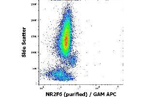 Flow cytometry intracellular staining pattern of human peripheral whole blood stained using anti-NR2F6 (EM-51) purified antibody (concentration in sample 3 μg/mL, GAM APC). (NR2F6 antibody)