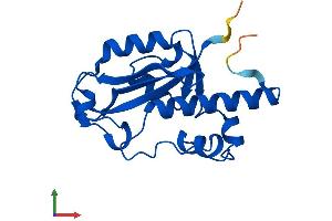 AlphaFold protein structure predicition of Human Recombinant ISG20 Protein, UniprotID Q96AZ6 (ISG20 Protein (AA 1-181) (His tag))