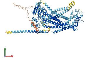AlphaFold protein structure predicition of Mouse Recombinant Ano5 Protein, UniprotID Q75UR0
