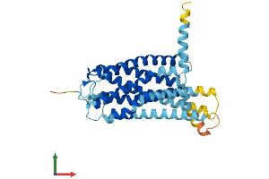 AlphaFold protein structure predicition of Human Recombinant GPR82 Protein, UniprotID Q96P67