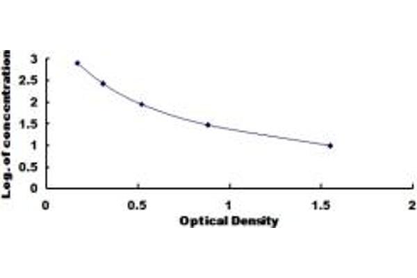 Tachykinin 3 ELISA Kit