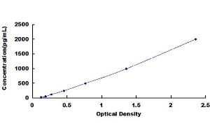 LRP8 ELISA Kit