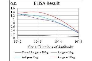 ELISA image for anti-Casein Kinase 2, beta (CSNK2B) (AA 1-215) antibody (ABIN5542448)
