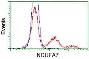 HEK293T cells transfected with either RC200534 overexpress plasmid (Red) or empty vector control plasmid (Blue) were immunostained by anti-NDUFA7 antibody (ABIN2454391), and then analyzed by flow cytometry. (NDUFA7 antibody)