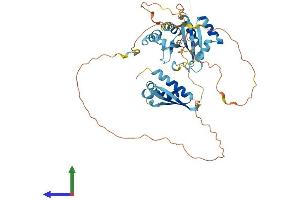 Protein Structure (PS) image for Heterogeneous Nuclear Ribonucleoprotein K (HNRNPK) (AA 1-463) protein (His tag) (ABIN7554120)
