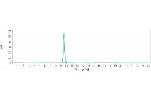 anti-Heparin-Binding EGF-Like Growth Factor (HBEGF) antibody