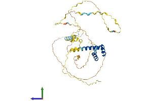 Protein Structure (PS) image for BarH-Like Homeobox 2 (BARHL2) (AA 1-387) protein (His tag) (ABIN7552656)