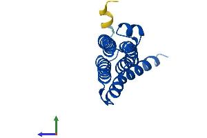 AlphaFold protein structure predicition of Human Recombinant PTGES Protein, UniprotID O14684 (Prostaglandin E Synthase Protein (PTGES) (AA 1-152) (His tag))