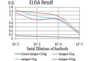 Black line: Control Antigen (100 ng),Purple line: Antigen (10 ng), Blue line: Antigen (50 ng), Red line:Antigen (100 ng) (TCF4 antibody  (AA 518-667))