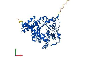 Protein Structure (PS) image for Transaldolase 1 (TALDO1) (AA 1-337) protein (His tag) (ABIN7544161)