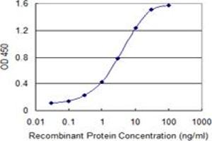 Detection limit for recombinant GST tagged ABCC5 is 0. (ABCC5 antibody  (AA 760-846))