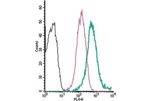 Cell surface detection of Adenosine A2b Receptor by direct flow cytometry in live intact human  monocytic leukemia cells: + Rabbit IgG isotype control-APC.