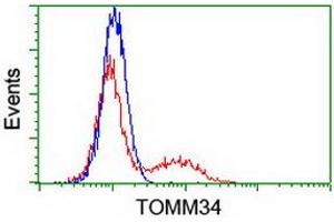 Image no. 1 for anti-Translocase of Outer Mitochondrial Membrane 34 (TOMM34) antibody (ABIN1501469) (TOMM34 antibody)