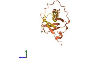 AlphaFold protein structure predicition of Human Recombinant IGF2BP2-AS1 Protein, UniprotID Q96M15 (C3orf65 Protein (AA 1-143) (His tag))