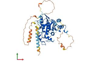AlphaFold protein structure predicition of Mouse Recombinant Atg4c Protein, UniprotID Q811C2 (ATG4C Protein (AA 1-458) (His tag))