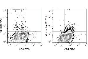 Mouse lymphoid cells were stimulated in the presence of a protein transport inhibitor. (IL-4 antibody  (APC))