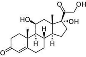 Image no. 1 for Cortisol ELISA Kit (ABIN577640) (Cortisol ELISA Kit)